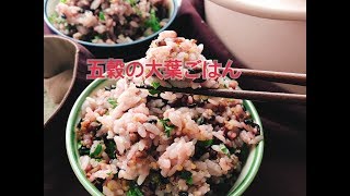 【炭酸水ごはん】五穀の大葉ごはん/雑穀ごはん/黒米/古代米(Millet rice with shiso)バーミキュラ(縦長動画)