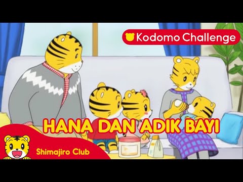 Shimajiro | Pendidikan Anak | Hana dan Adik Bayi. Ep. 106.1- Kodomo Challenge I Kodomo Challenge