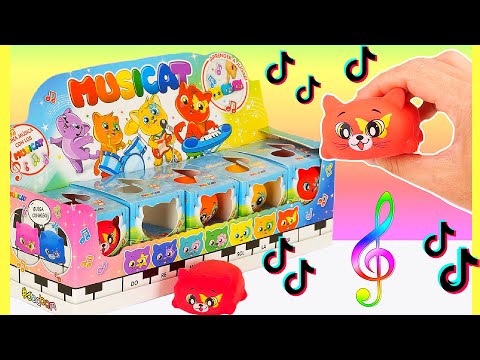 MUSICAT SBABAM Spielend Noten und Farben lernen mit Musik Katzen für Kita 🌈 DIY Klanggeschichte