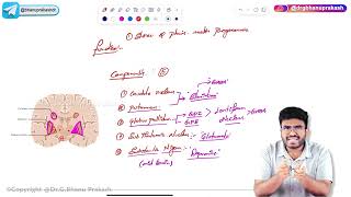 5. Parkinson's Disease Pathology : USMLE Step 1