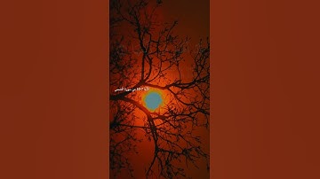 ونفس وما سواها - القارئ فارس عباد