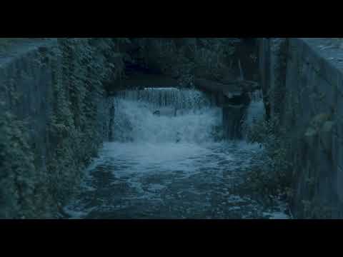 Trevor Kowalski - Friends May Wander Far