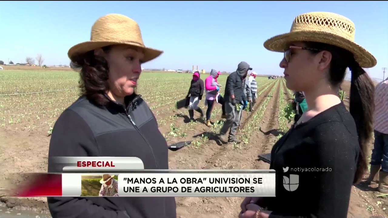 Manos A La Obra Temporada 5