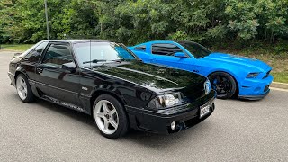 I BOUGHT THE CLEANEST 1988 FOXBODY MUSTANG GT HANDS DOWN!!