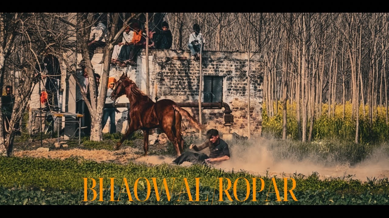 BHAOWAL - ROPAR | VIRAL BAREBACK HORSE RACING VIDEOS | MARWARI HORSE LOVERS