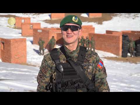 Видео: Христийн шашинд эмгэн хумсны бэлгэдэл: Энэ амьтны хамгийн алдартай зургууд юу вэ?