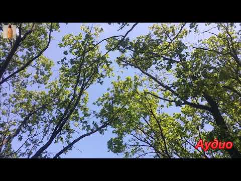 Мои методы восстановления обоняния