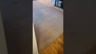 The customer didn't believe the result. Code Green Carpet Cleaning.