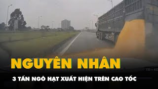 Nguyên Nhân 3 Tấn Ngô Hạt Xuất Hiện Trên Cao Tốc Hà Nội - Thái Nguyên