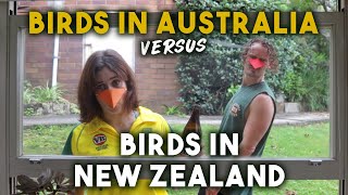Birds in Australia v Birds in New Zealand