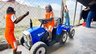 Download Lagu CUTIS Realizes His Mistake Pampering Buem on a Restaurant Trip MP3