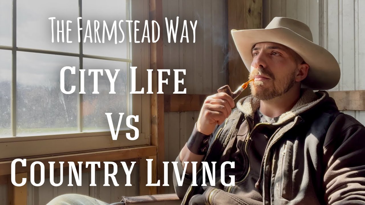 Городская жизнь против сельской жизни