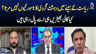 Pakistan Security Challenges | Rising Terror Incidents Concerns | National Stability - NEWS INSIGHT