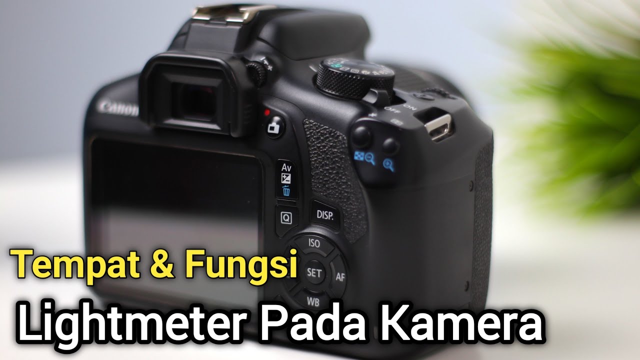 Light meter Pada Kamera |Tempat & Fungsinya Apa? - YouTube