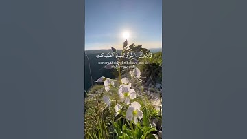 [سورة غافر:57-59]. 🫀🎧 _ القارئ ياسر الدوسري