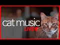 LIVE Cat Music - Ambient Relaxation Sounds for Cats and Kittens