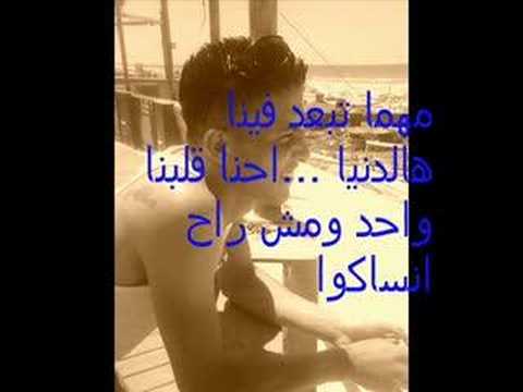 علاء البحيري الحبيب