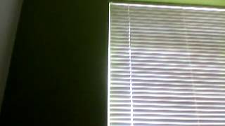 Capture 20130403 2