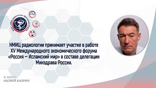 XV Международный экономический форум «Россия — Исламский мир»