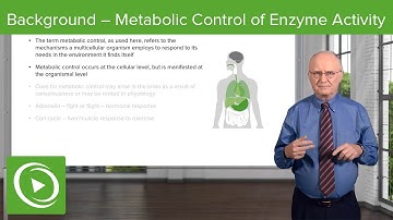 Background – Metabolic Control of Enzyme Activity