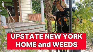 #113 UPSTATE NEW YORK Returning home to an overgrown property in need of weeding, trimming and work.