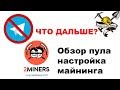 Что ждет майнинг и крипту в будущем? Настройка майнинга Обзор пула 2miners.ru майнинг Callisto