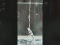 #physics #liquid #pressure #distance #height #depth #9th #11th #12th #10th #icse #cbse #science #8th