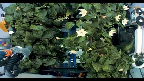 Our World: Systems to Grow Plants in Space