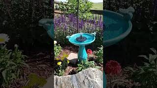 New birdbath and solar fountain