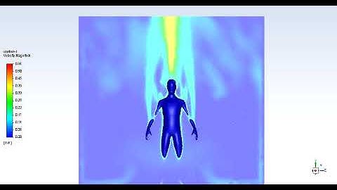 Velocity contours, CFD simulation (laminar, transient) of the heat generated by a standing subject