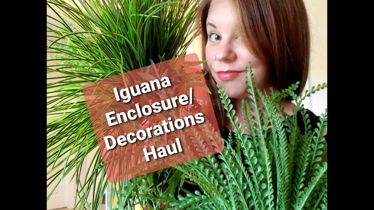 Hobby Lobby for Reptile Decor!?! YouTube