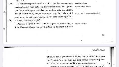 Fabulae Syrae 28.3b (200...)