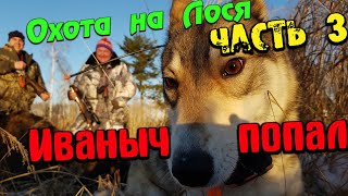 Охота с Иванычем - Часть 3 - Иваныч попал