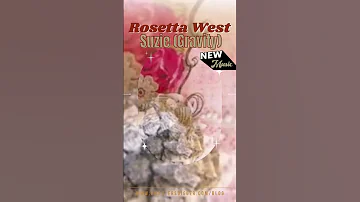 Rosetta West S Suzie Hits HARD With EMOTIONAL Intensity Newmusic2025 Music Shorts 