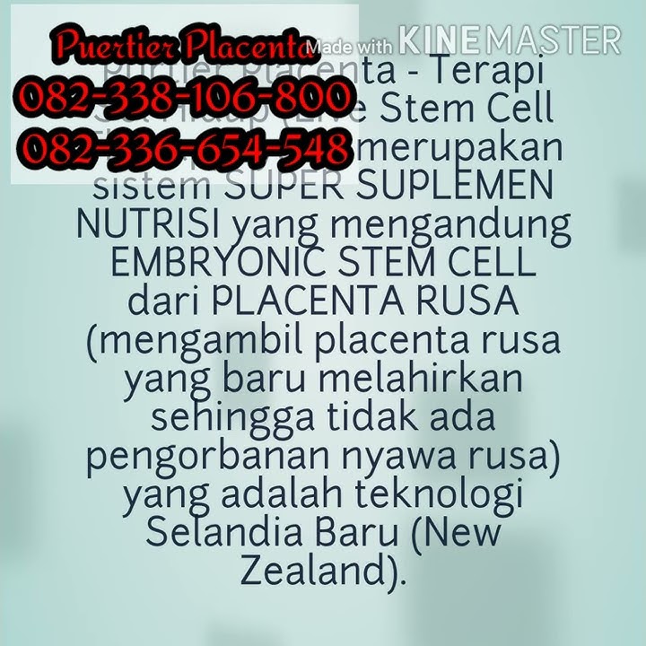 Purtier placenta edisi 6 asli rusia, harga purtier placenta asli 2020