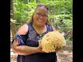 GardenDC Podcast Episode 220: The Age of Lichens