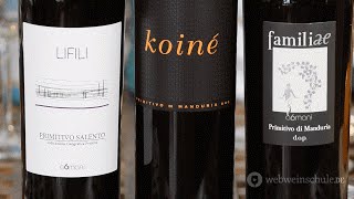 Weinschule Folge 49 Primitivo