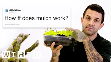 Botanist Answers Plant Questions From Twitter | Tech Support | WIRED