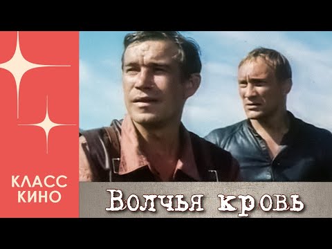 Волчья кровь (1995) фильм Николая Стамбула. Фильм с Евгений Сидихин, Александр Казаков. Боевик.