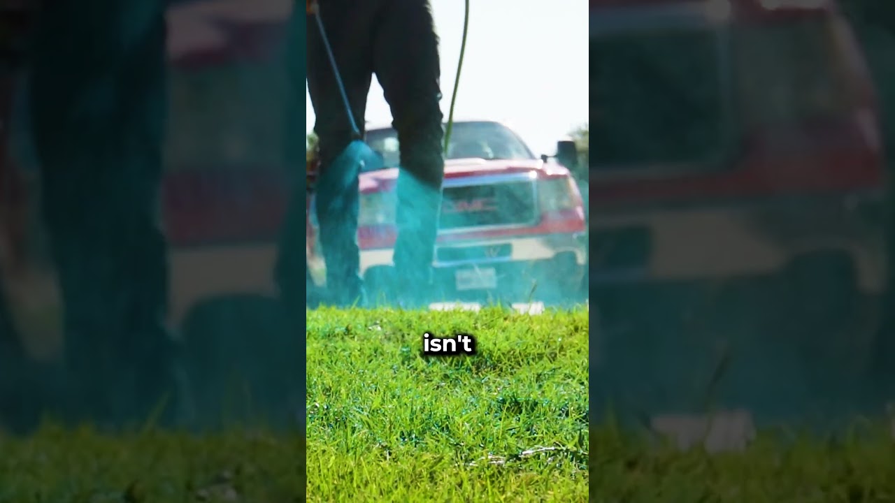 Why is that Lawn Blue?