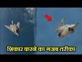 FALCON का हमला इतना खतरनाक क्यों होता है ? WHY IS FALCON ATTACK SO DANGEROUS ?