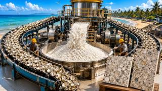 Inside a Giant Oyster Shell Recycling Factory From Shell Waste to Premium Terrazzo Tiles