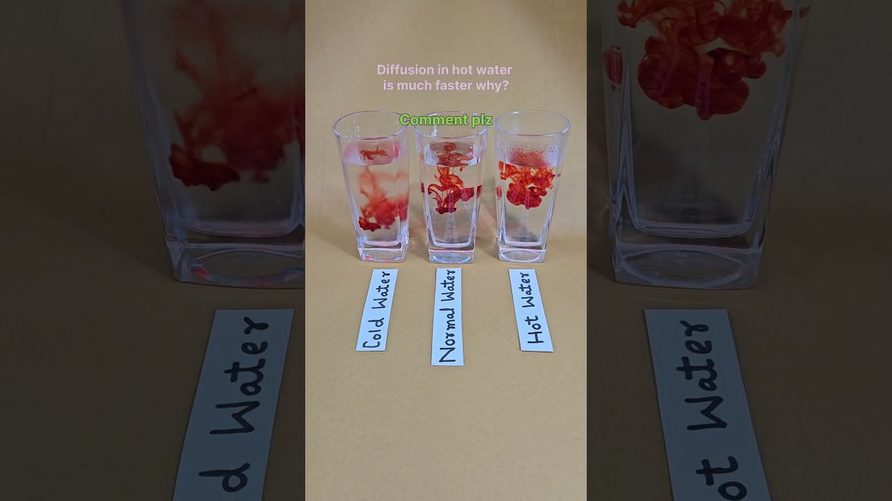 Diffusion in hot water is much faster ❤️ Simple Experiment 