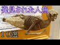 人魚は本当に存在するのか？