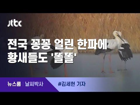 [날씨박사] 황새도 뭉치게 한 지난 겨울, 평년보다 0.6도 높았다 / JTBC 뉴스룸
