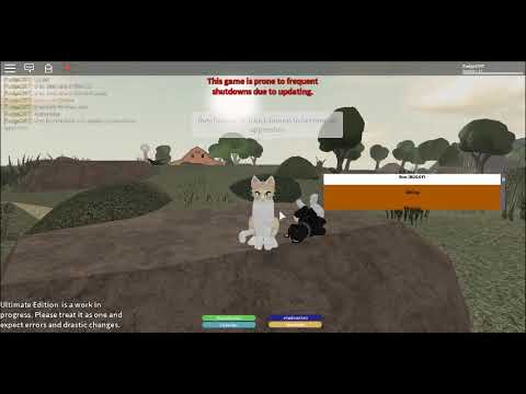 Warrior Cats Introduction Fudg2357 Roblox Gameplay Youtube