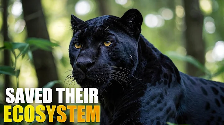 How Do Animals Maintain Ecological Balance in A Forest?