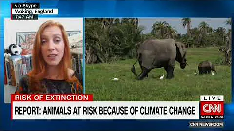 CNN interview with Dr Niki Rust on the effects of ...