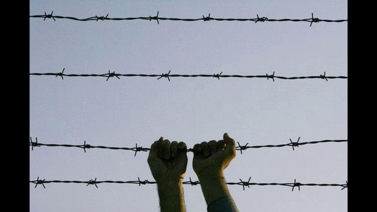 Колючая проволока гулаг. Узники концлагеря за колючей проволокой. Обнести колючей проволокой. Колючая проволока. Школа с колючей проволокой.