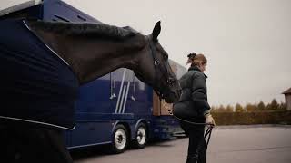 Stx Horsetruck Scania S I Stephex Horsetrucks